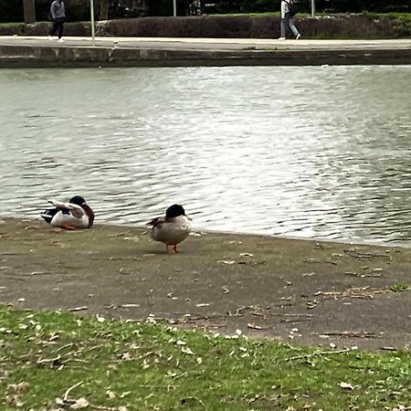 סן-דני Appartement Sur Et Garage Au Stade De France A 2 Mn De Paris, 20 De Roissy Cdg Et 30 De La Defense Animaux Bienvenus מראה חיצוני תמונה