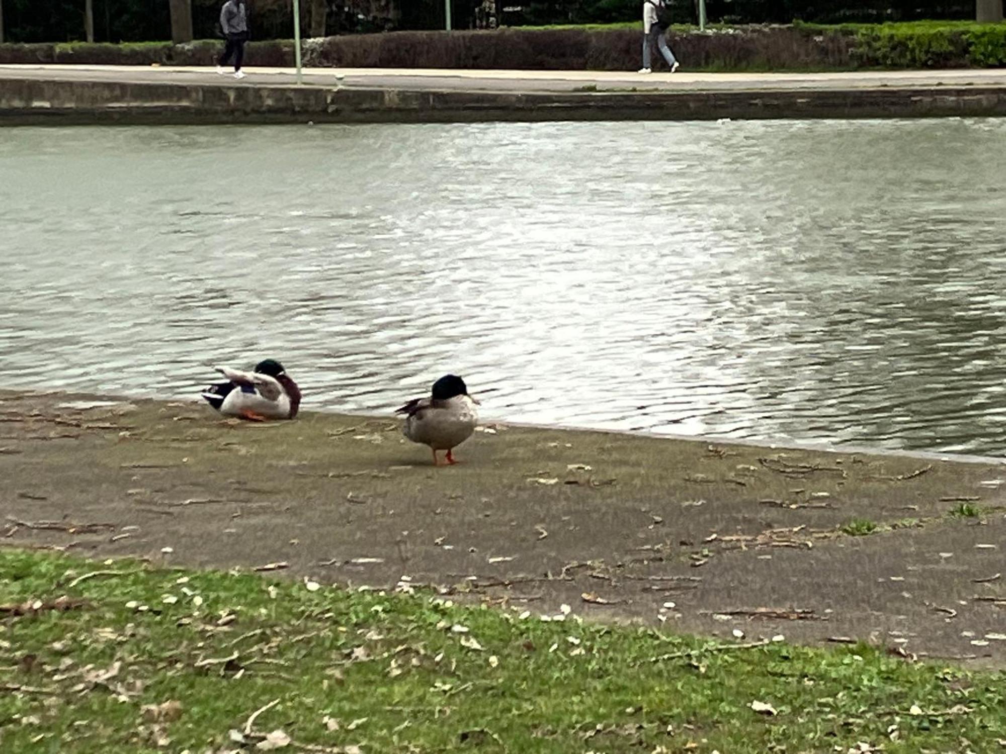 סן-דני Appartement Sur Et Garage Au Stade De France A 2 Mn De Paris, 20 De Roissy Cdg Et 30 De La Defense Animaux Bienvenus מראה חיצוני תמונה